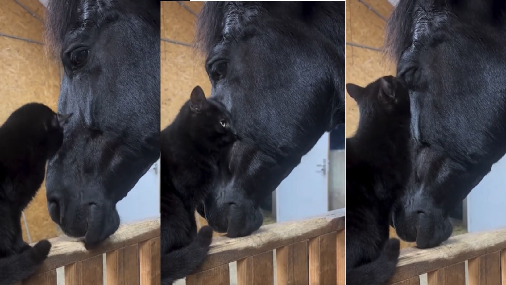 Video viral en redes sociales