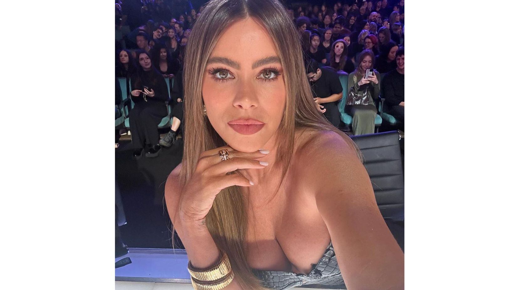 Sofía Vergara publicó extrañas fotos que asustaron a sus seguidores