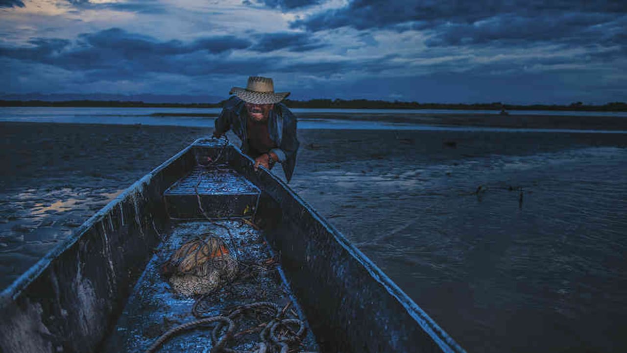 Puerto Boyacá tiene 50.000 habitantes. Es tierra de pescadores que sacan bagre y bocachico del río Magdalena.