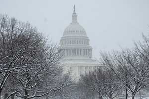 The US Capitol is seen beyond snow-covered trees in Washington, DC, on January 19, 2024. Local media forecasts 1 to 4 inches (2 to 10 cms) of snowfall for the region with temperatures in the 30s F (-1C) for the weekend. (Photo by Pedro UGARTE / AFP)