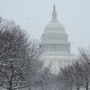 The US Capitol is seen beyond snow-covered trees in Washington, DC, on January 19, 2024. Local media forecasts 1 to 4 inches (2 to 10 cms) of snowfall for the region with temperatures in the 30s F (-1C) for the weekend. (Photo by Pedro UGARTE / AFP)