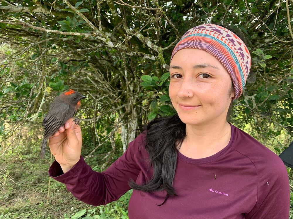 Primera expedición femenina de aves en Colombia