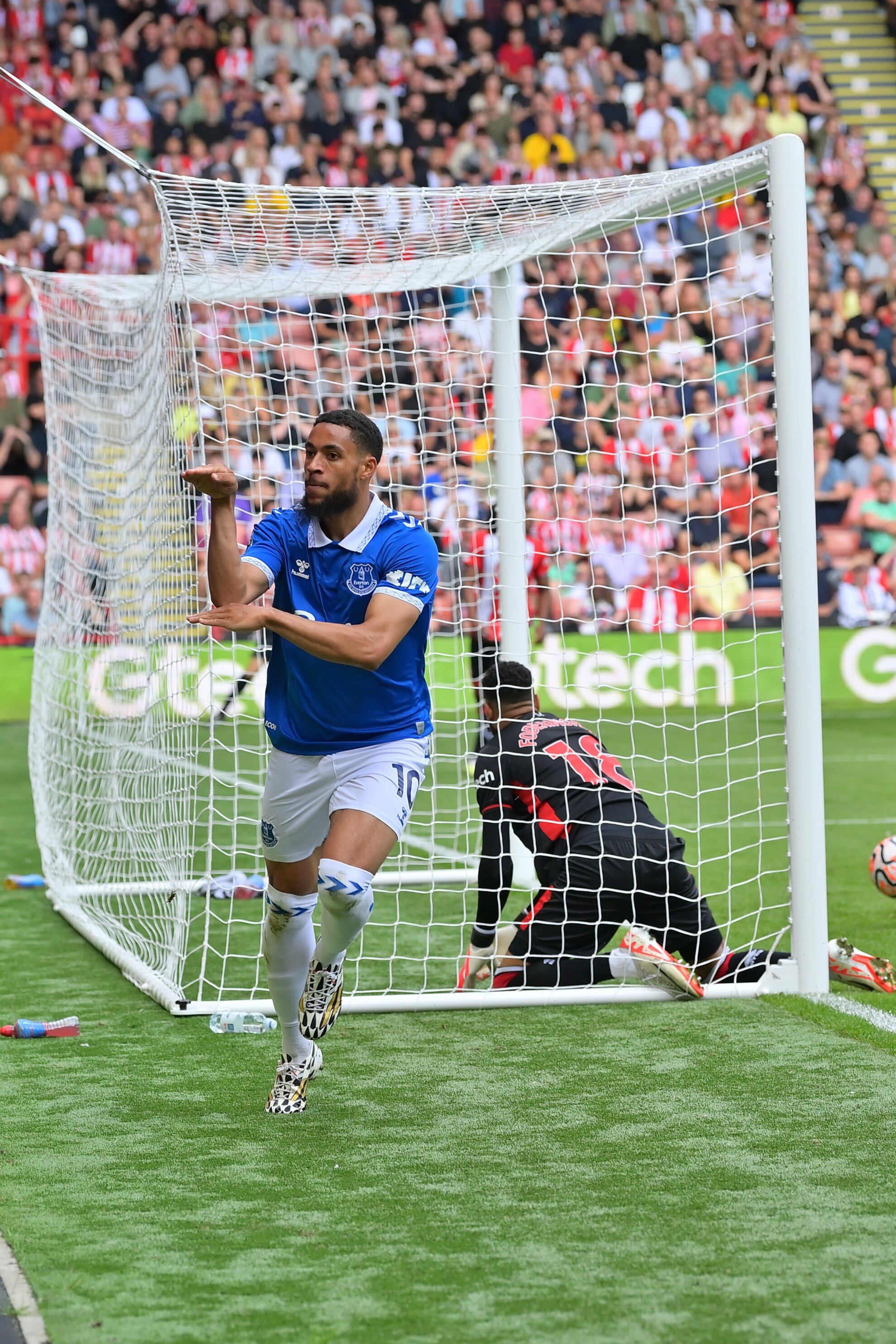 Sheffield vs Everton