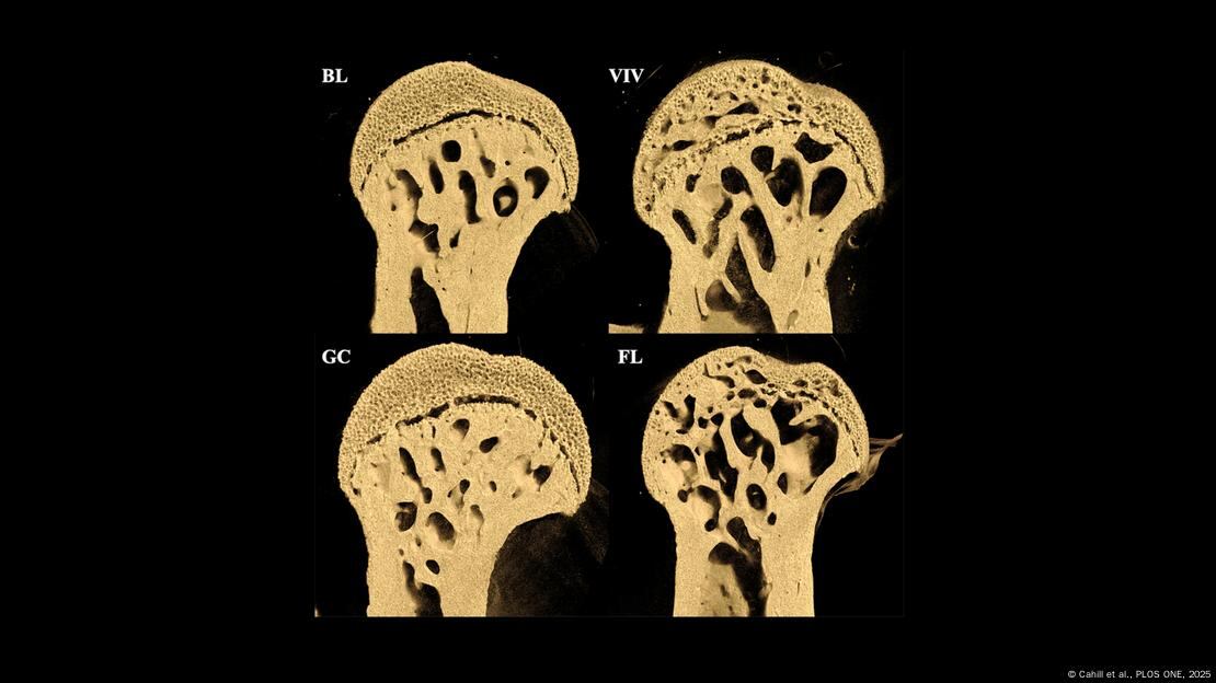 La degradación comenzó desde el interior, lo que contradice los efectos típicos de la radiación.