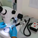 Entre los proyectos de ciencia y tecnología que se realizan en el Valle del Cauca se encuentra el programa para la disminución de la carga de la malaria en el litoral Pacífico.