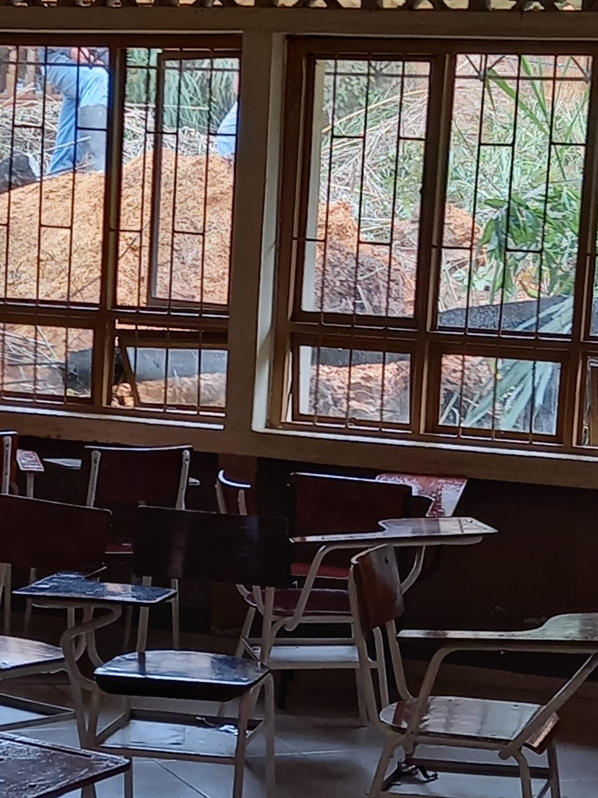 Los estudiantes ahora reciben clases en una biblioteca en malas condiciones.
