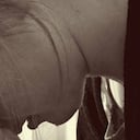 El informe de la OMS sobre suicidios a nivel mundial, prende las alarmas.