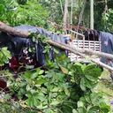 El camión presentó fallas en los frenos.