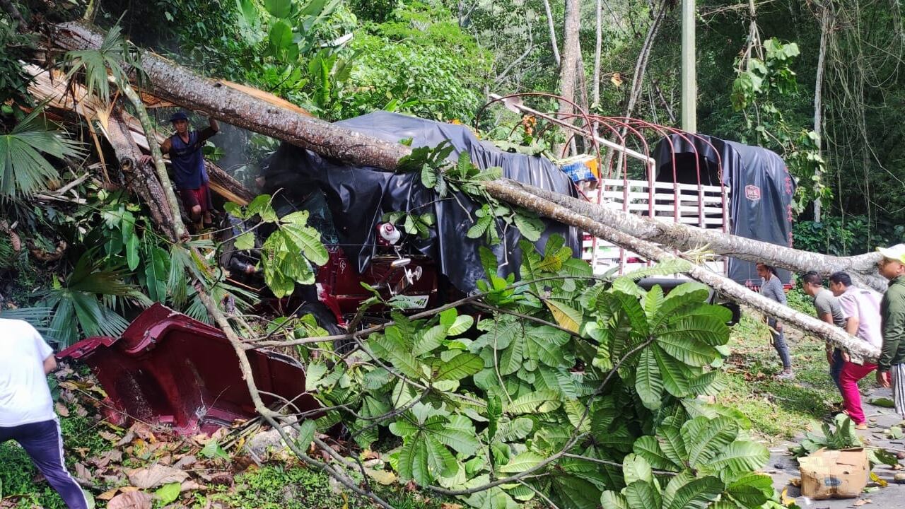 El camión que se accidentó en la vía Bucaramanga - San Alberto presentó fallas en los frenos.