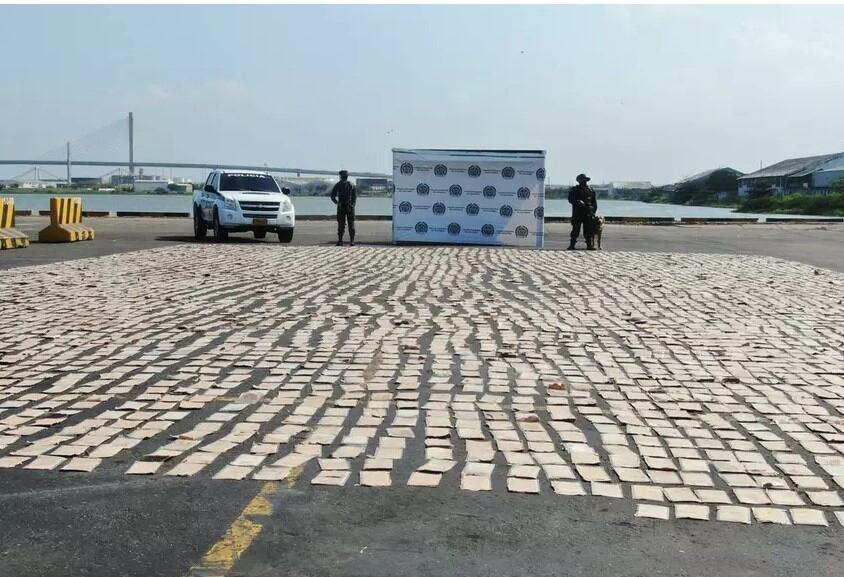 Cargamento de limones con droga