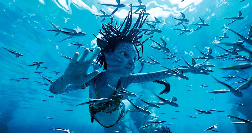 Pese a que la producción cinematográfica continúa en cartelera, James Cameron, el director del proyecto, ya está preparando el montaje de la tercera película