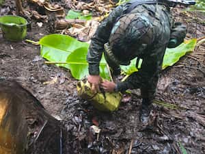 Soldados desactivando artefactos explosivos.