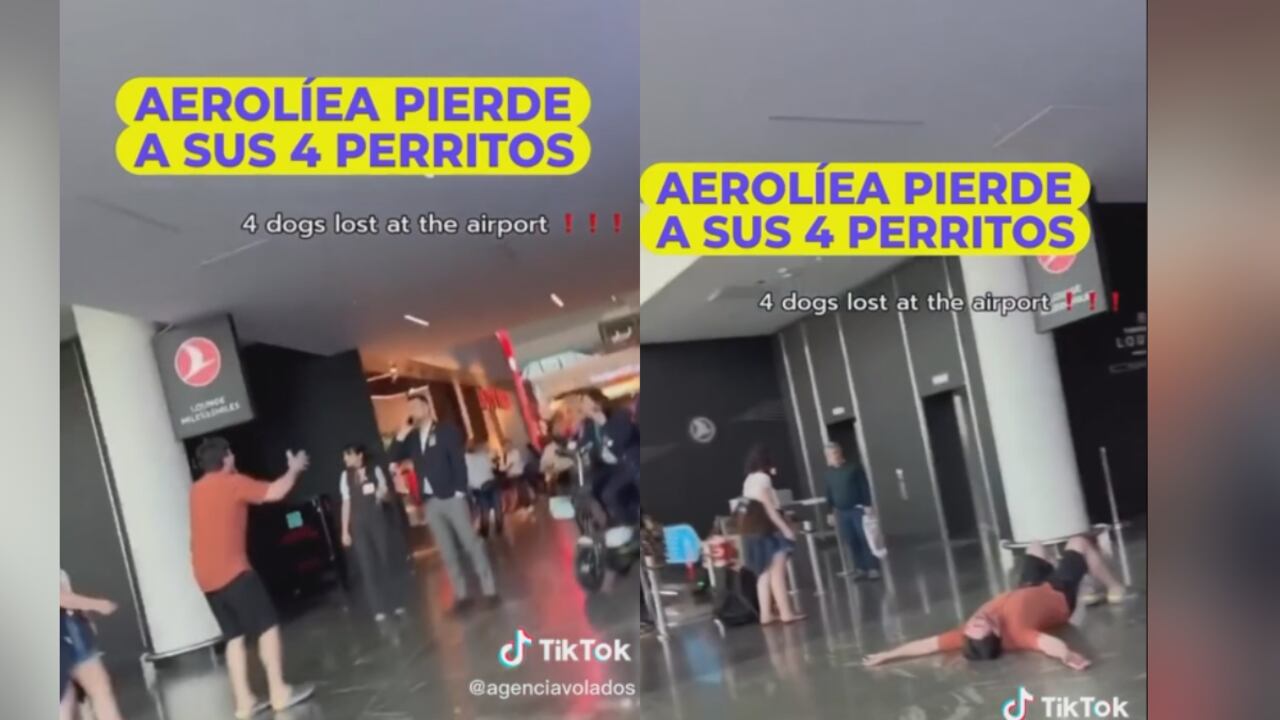 El hombre se tiró al piso ante la desesperación.
