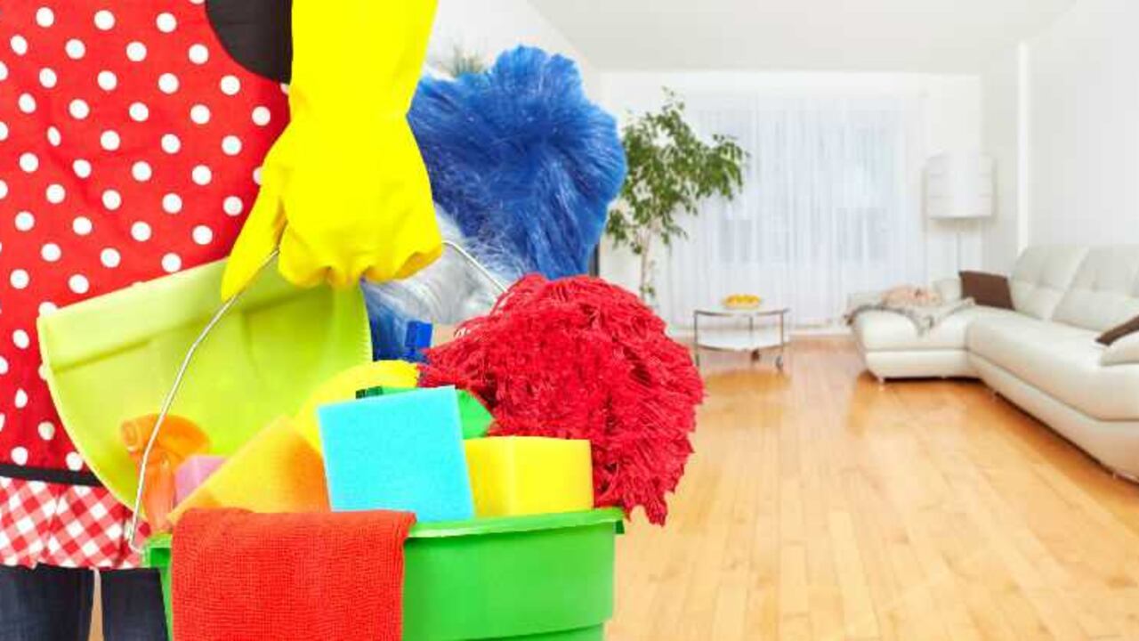 El servicio doméstico tiene derecho a la prima de Navidad.