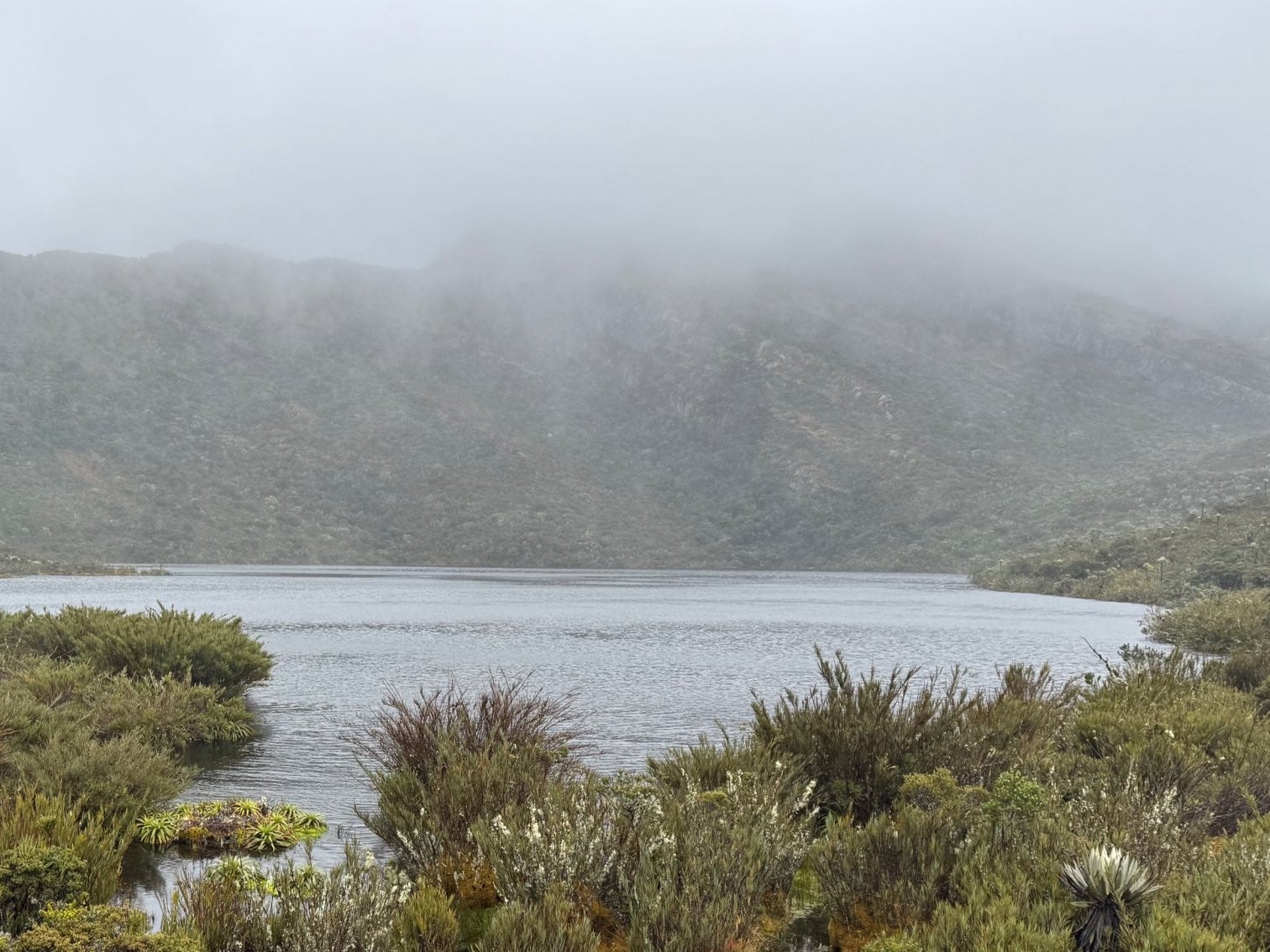 Guasca es un importante municipio de Cundinamarca.