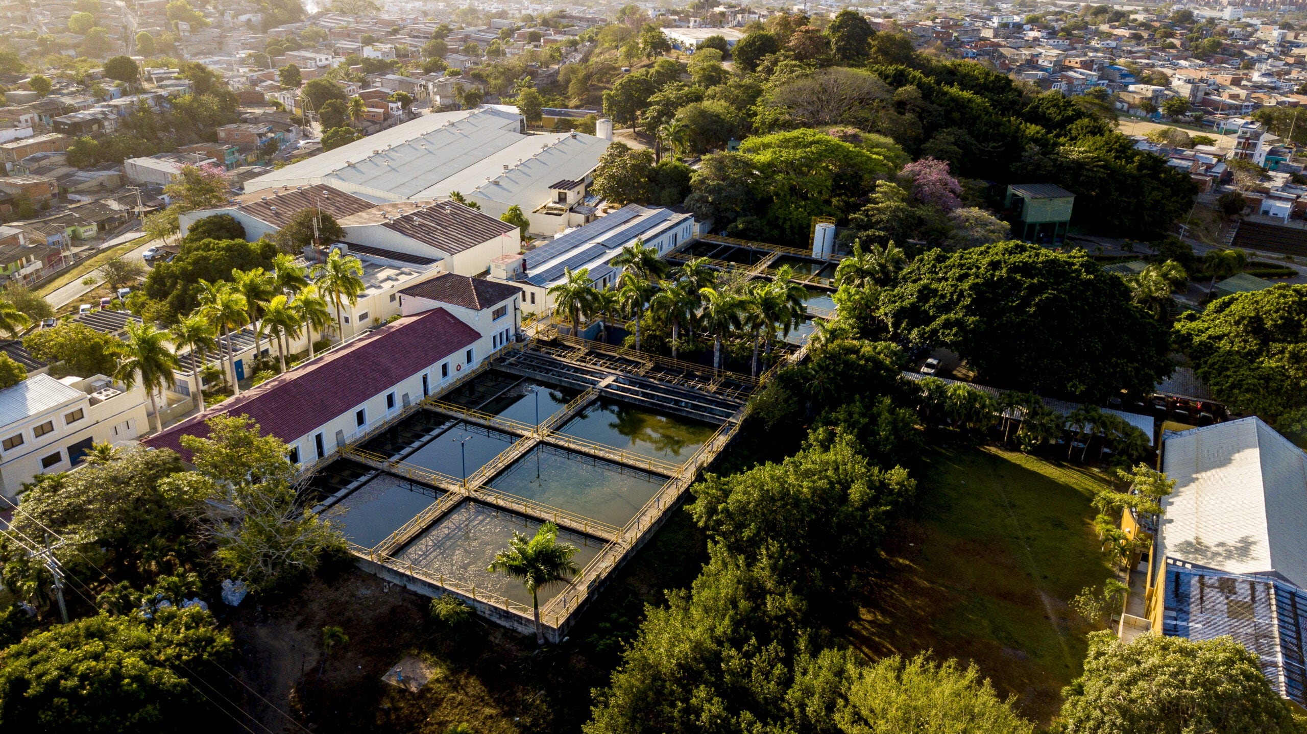 Planta El Cerro