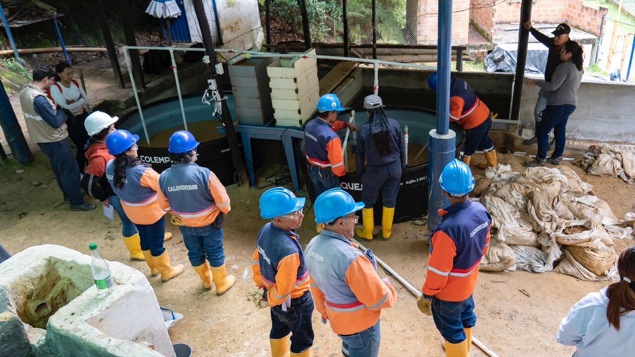 El páramo de Santurbán ha sido motivo de polémicas por las exploraciones mineras que se han querido hacer en ese ecosistema.