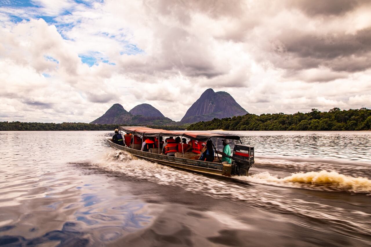 Seguimiento satelital de delfines de río