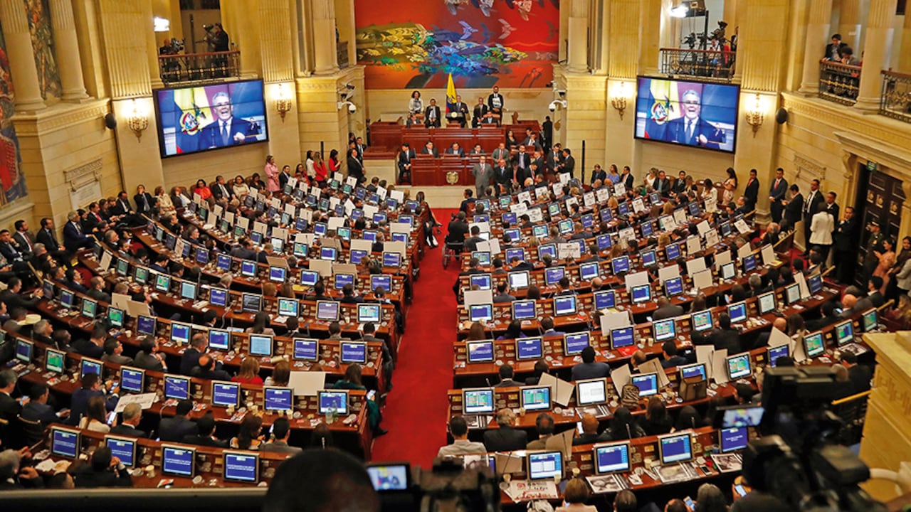 Los parlamentarios alertan que el Congreso no ha aprobado una ley en ese sentido.