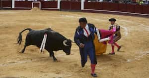 Antonio Caballero escribió que el "El problema detrás del debate sobre las corridas de toros es la ignorancia".
