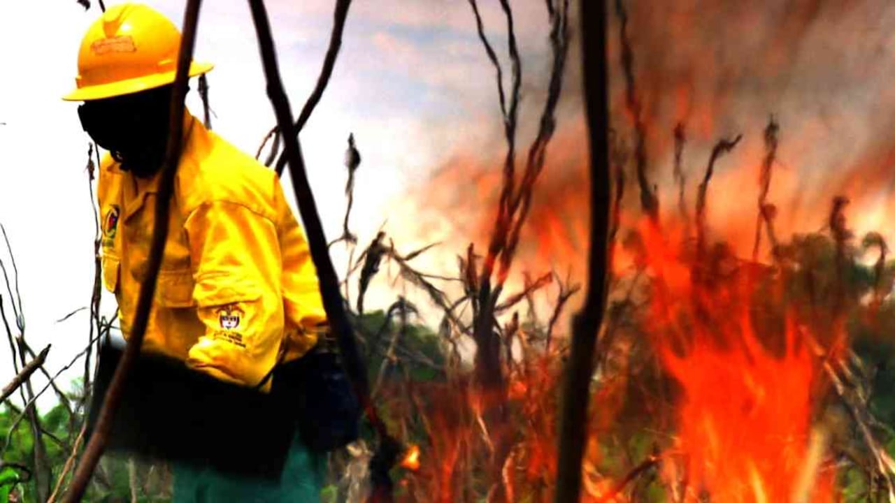 En lo corrido de 2019 se han registrado 310 incendios forestales en el Meta, que han consumido cerca de 17.000 hectáreas de vegetación. Foto: Cormacarena