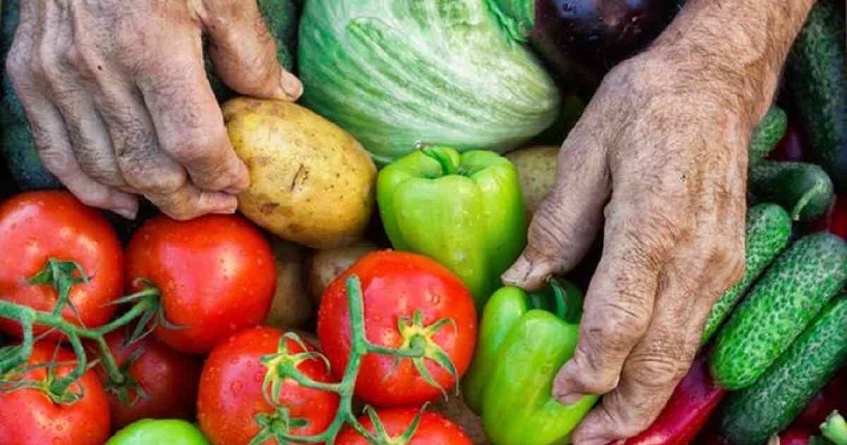 Alimentos saludables