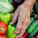 Alimentos saludables