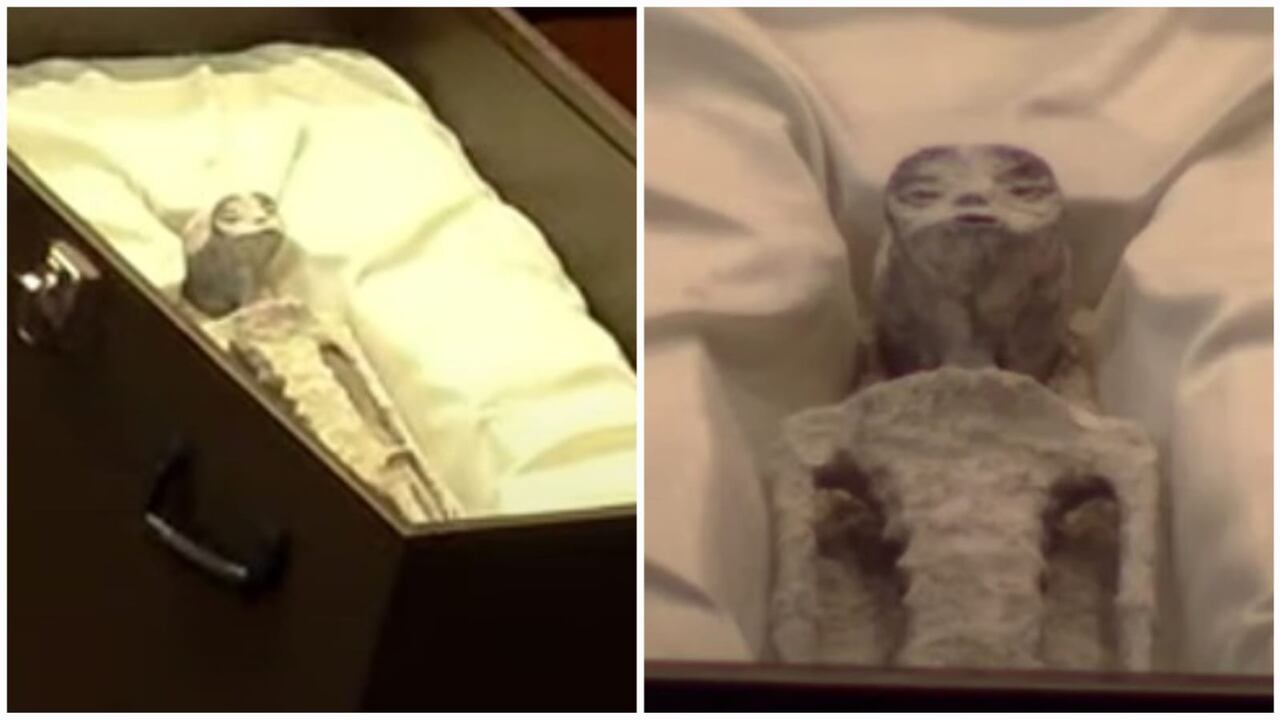 La presentación se hizo durante una audiencia pública en la Cámara de Diputados mexicana.