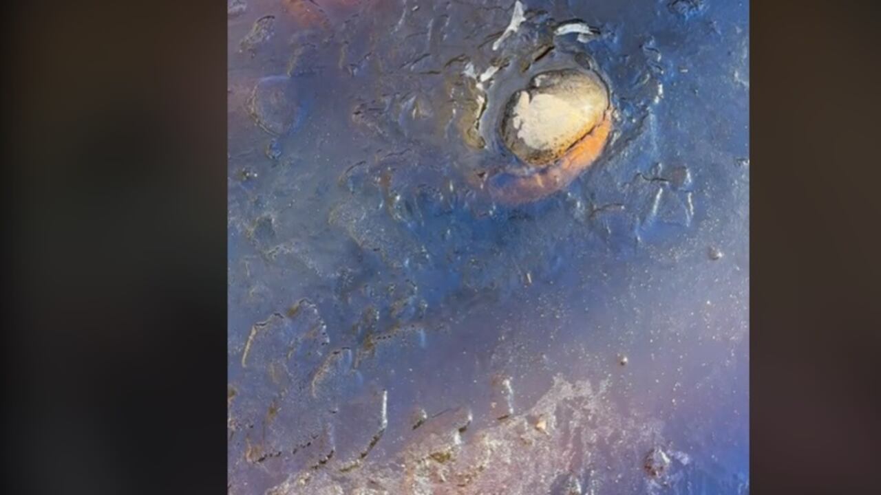 Howard se mostró entusiasmado por poder presenciar el fenómeno durante el fin de semana, y aseguró que habían pasado algunos años desde la última vez que esto ocurrió en el parque.