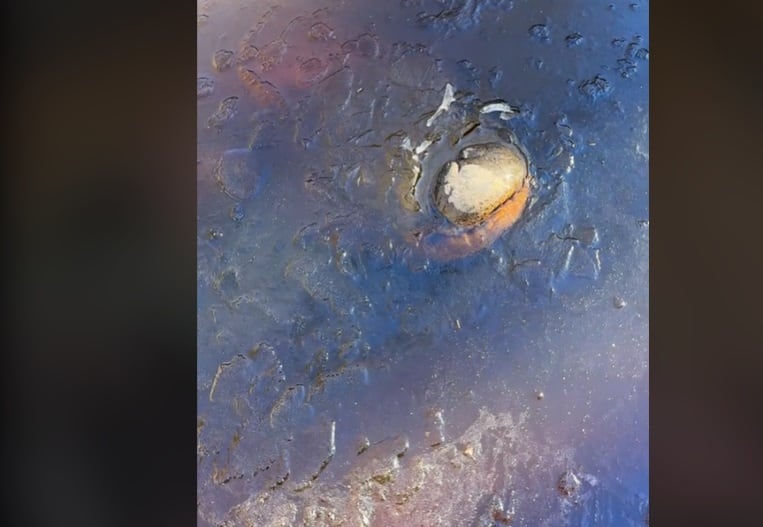 Howard se mostró entusiasmado por poder presenciar el fenómeno durante el fin de semana, y aseguró que habían pasado algunos años desde la última vez que esto ocurrió en el parque.