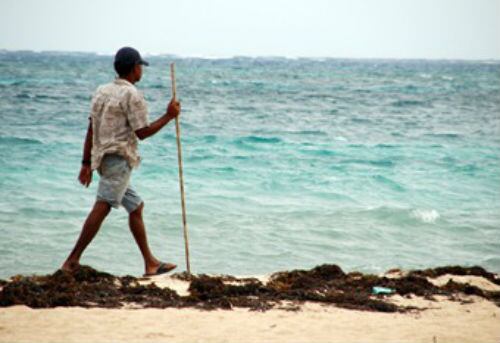 La industria turística y en general, toda la comunidad de San Andrés, está solicitando acciones más apremiantes a las autoridades nacionales para la atención de la crisis aérea que se ha generado para la isla el cese de operaciones de Viva Air y Ultra Air.