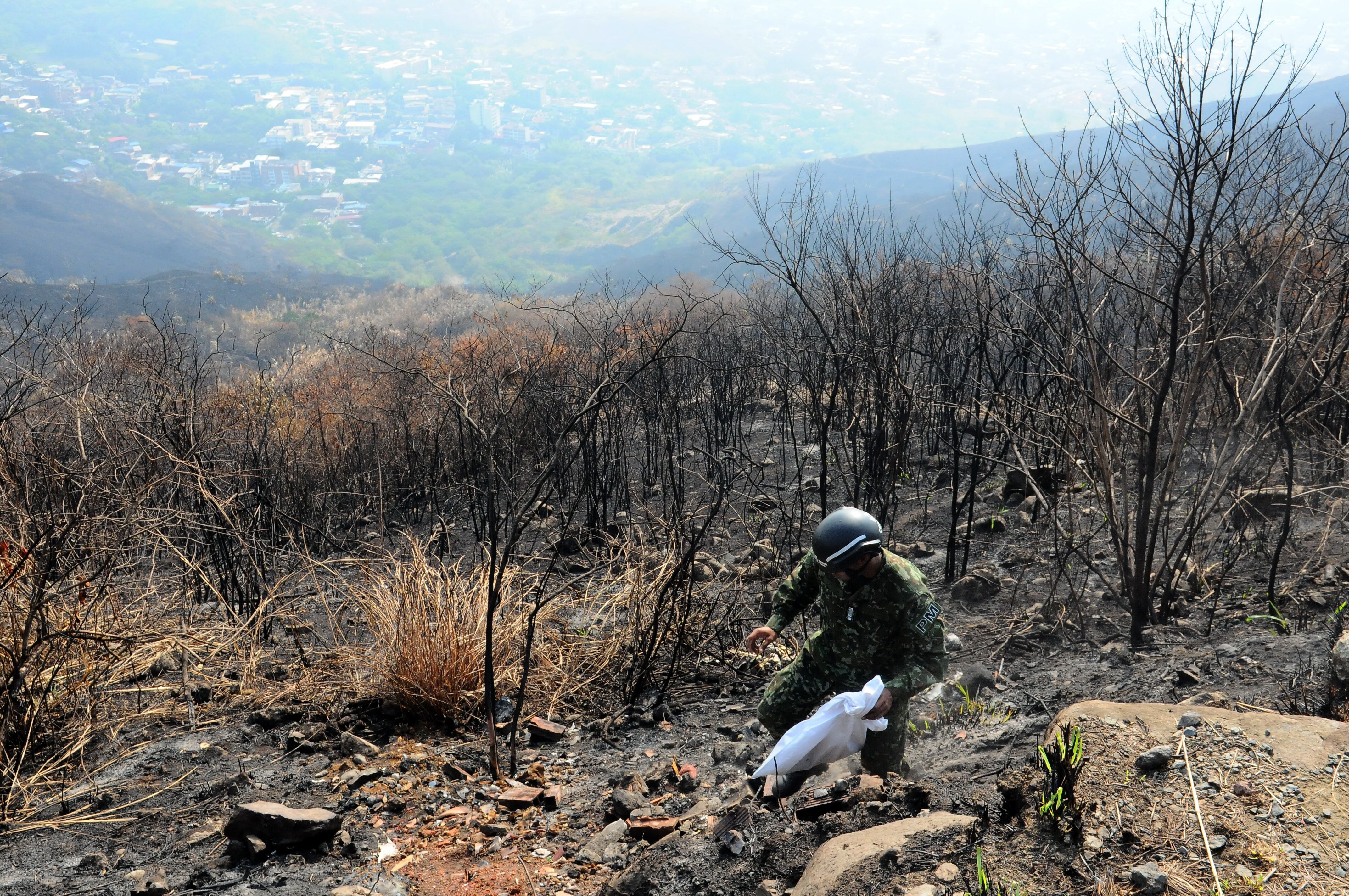 Cali; Centenares de caleños participan de la campaña de reverdecer y limpieza de los cerros tutelares de Cali (Tres Cruces, Guaca) que fueron afectados por incendios forestales en días pasados. foto José L Guzmán. El País, sept 30-23