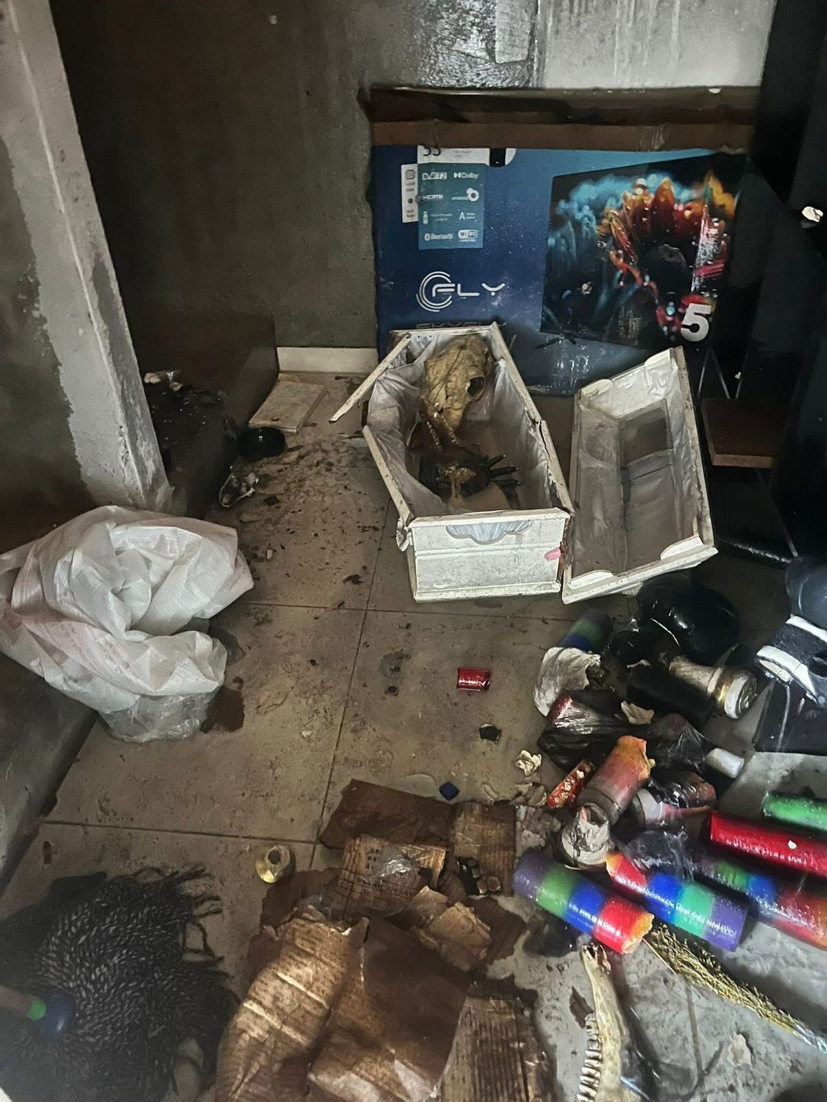 Los objetos dejaron en asombro a todos los presentes.