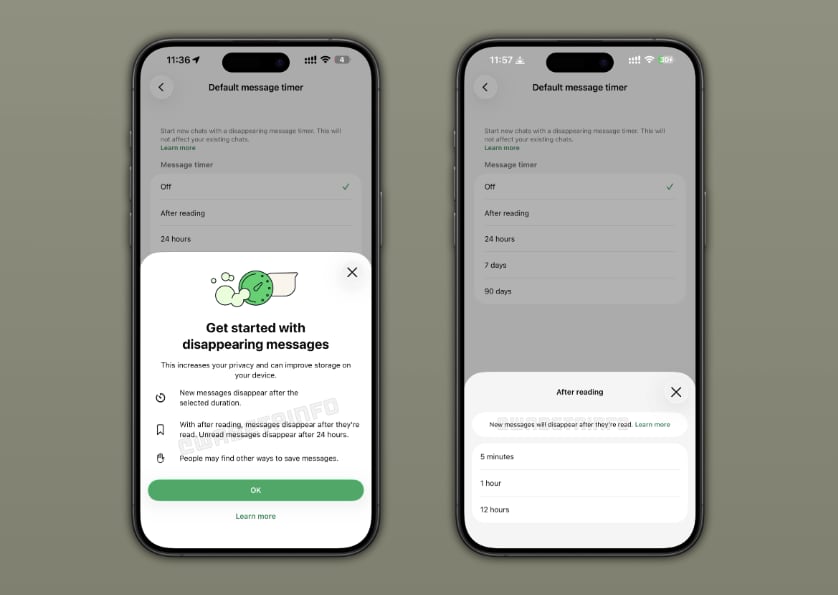 Los usuarios podrían personalizar el tiempo de autodestrucción de cada mensaje.