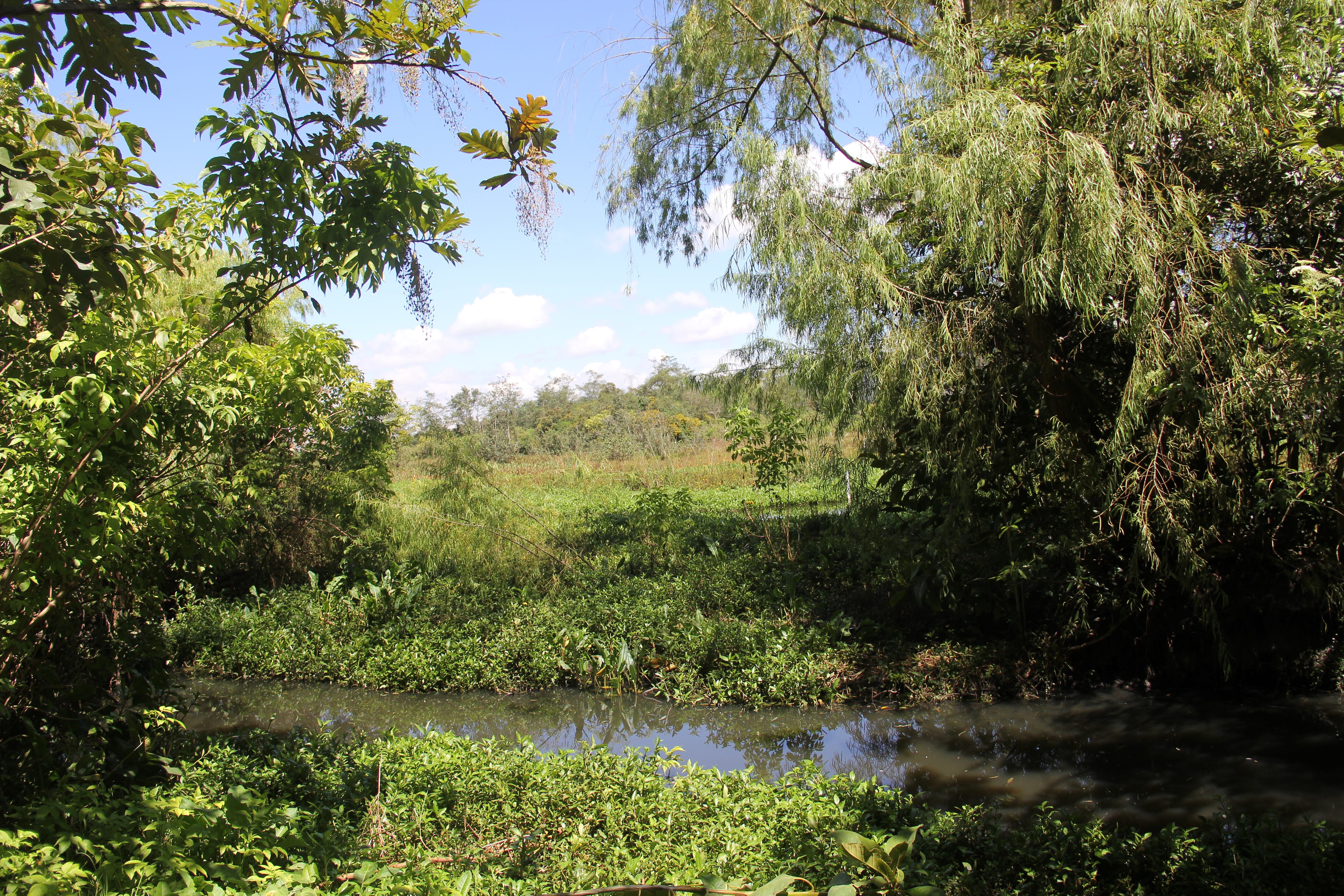 La Conejera es uno de los 15 humedales reconocidos de la Bogotá.