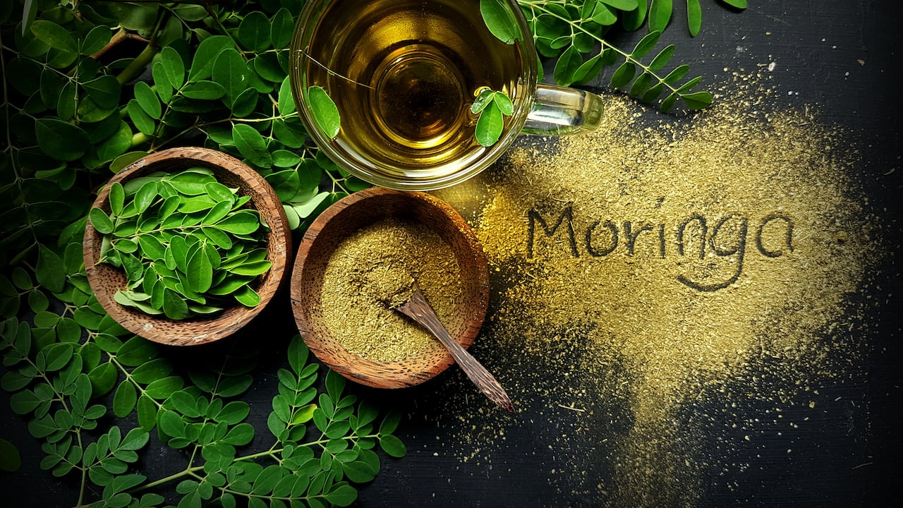 Moringa - Foto de referencia