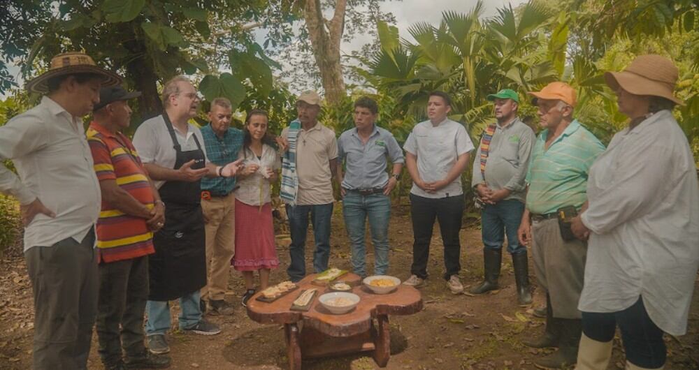 Harry Sasson junto a los campesinos que siembran el palmito.