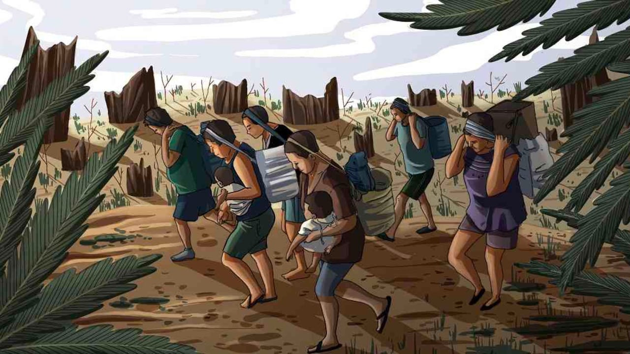 Territorios ancestrales cercados por los cultivos de palma. Indígenas cercados por cultivos de palma. Ilustración elaborada por Kipu Visual para Mongabay Latam.