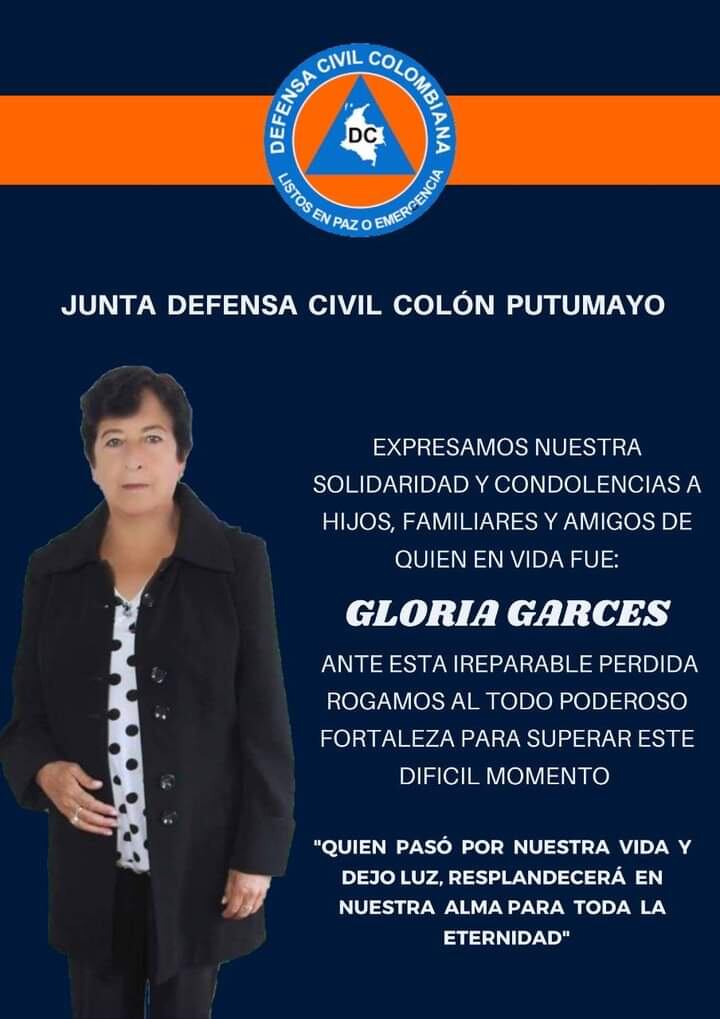 Al parecer el vehículo se quedó sin frenos.