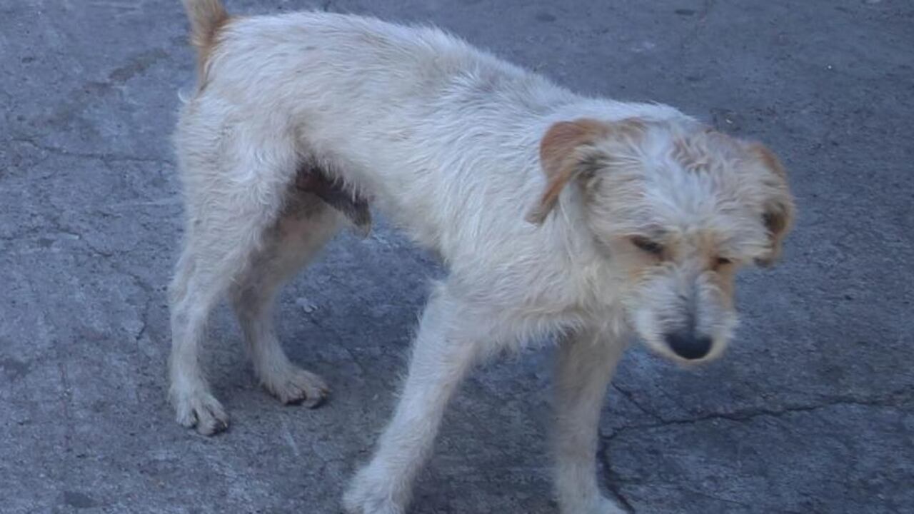 Pilín