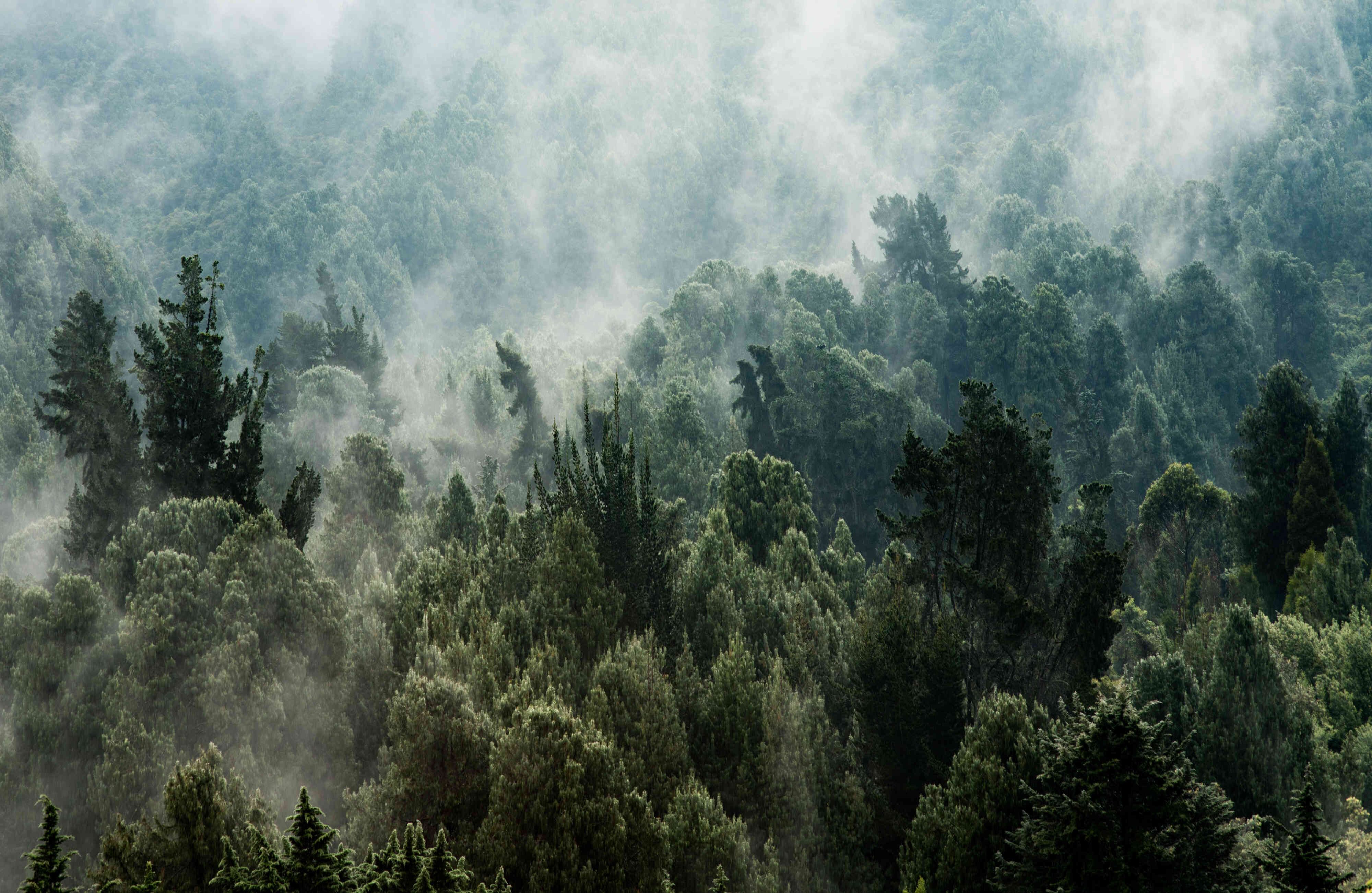 Allí habla directamente con los ciudadanos, defiende el proceso de paz y publica hermosas fotografías sobre los lugares del país que visita. 