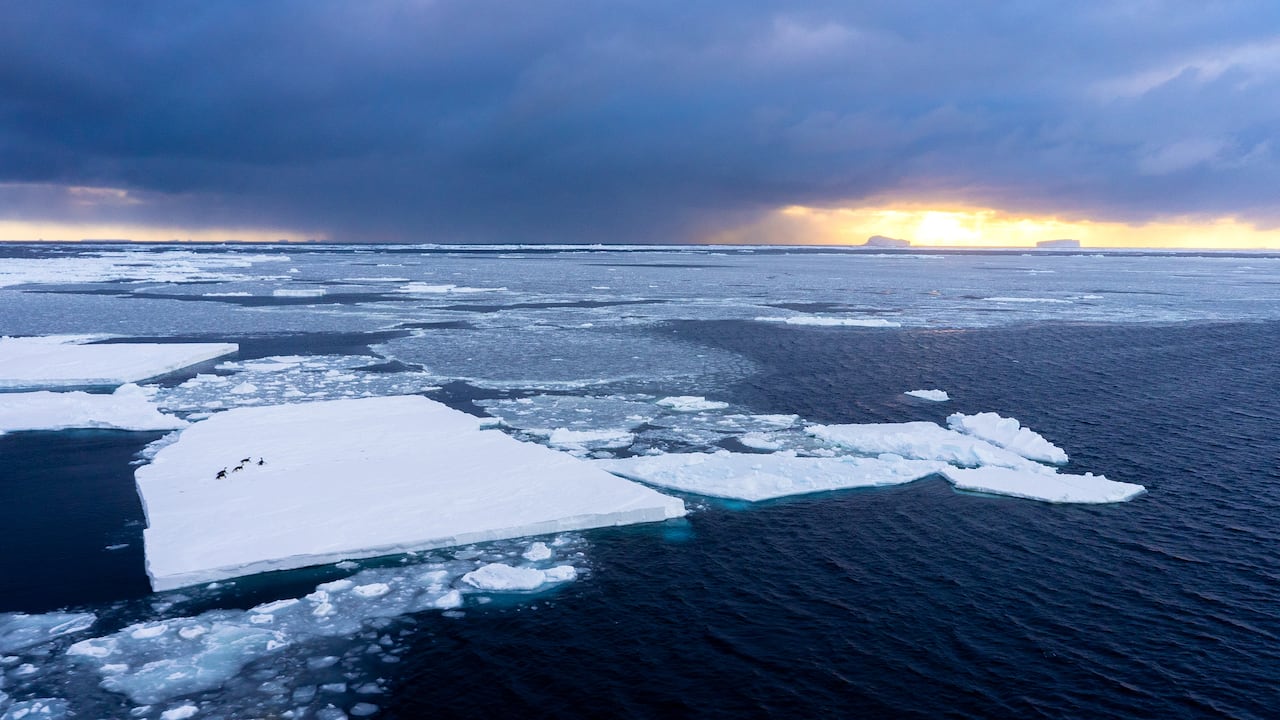 Científicos descubren que el deshielo en la Antártida podría desencadenar erupciones volcánicas, agravando los efectos del cambio climático.