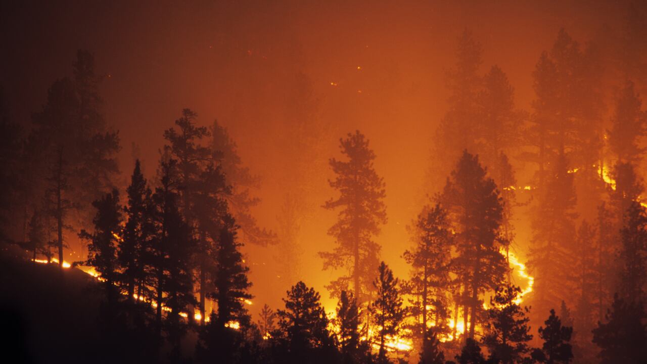 Más de un millón de hectáreas de tierra se han quemado en toda Europa este verano. (Imagen de referencia)