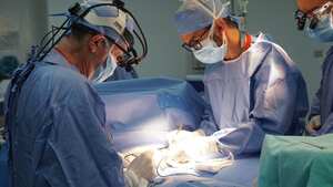 Operación de donación de órganos