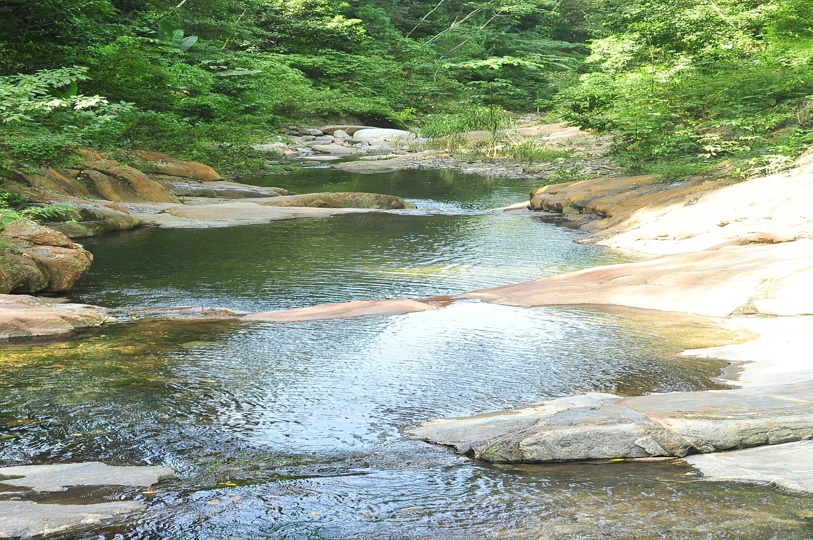 Reserva natural Atinkana