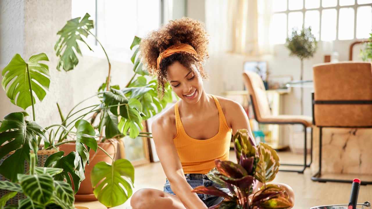 Las riquezas no determinan el éxito y la felicidad.