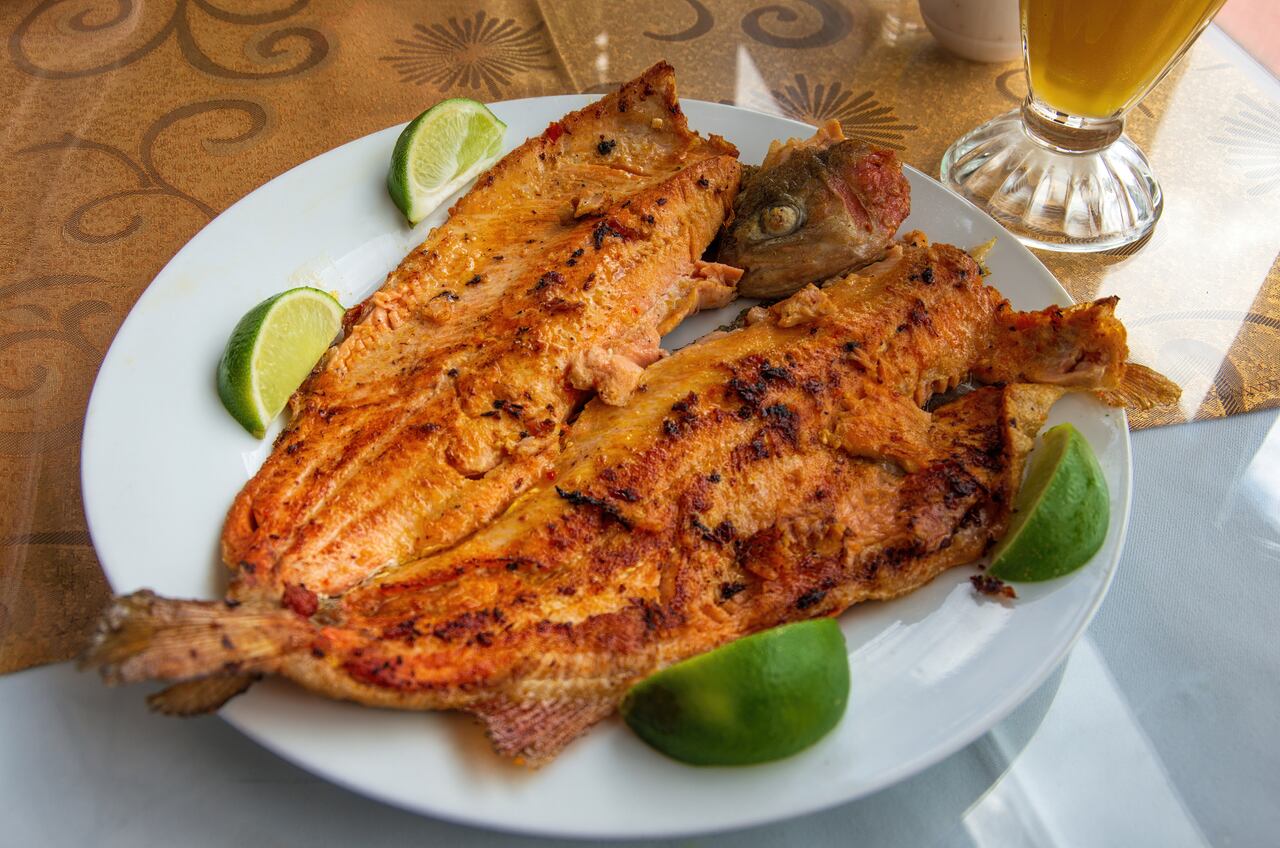 trucha a la parrilla