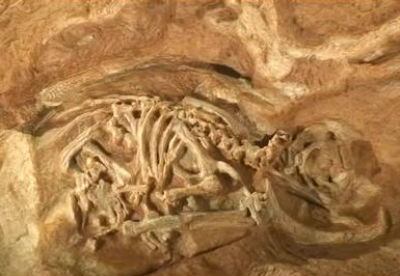 El documental que muestra el trabajo de excavación de los expertos de la Universidad de Manchester se transmitirá por la BBC el 15 de abril.