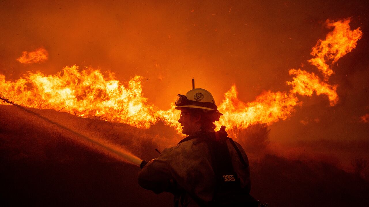 Fotos de la semana 24 enero