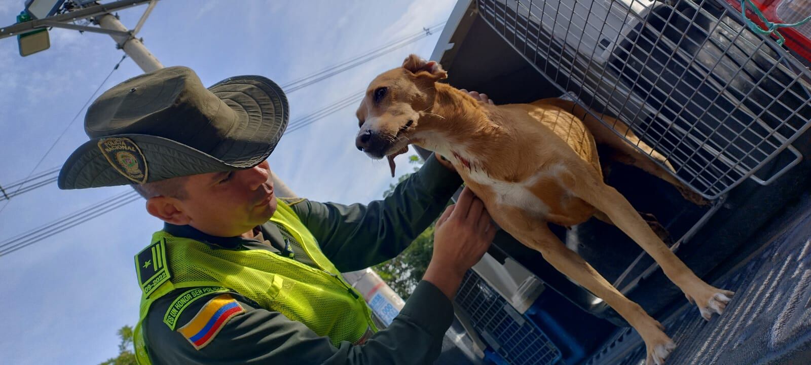 La canina estaba perdida desde la noche del sábado, cuando la onda explosiva acabó con la vida de 'Negro'.
